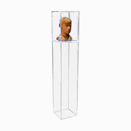 Vitrine transparente Plexiglass Buste